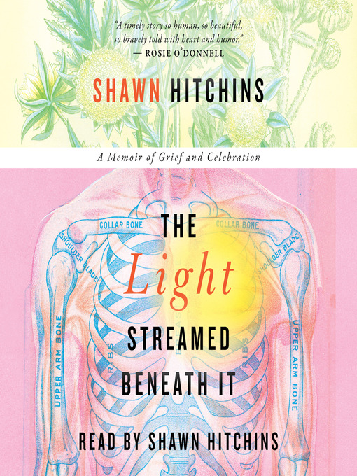 Cover image for The Light Streamed Beneath It